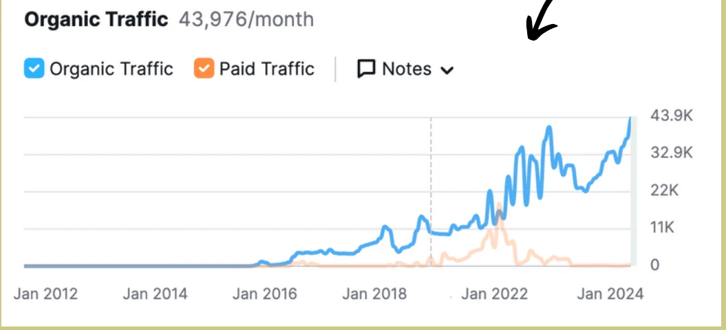 The Henna Guys organic traffic growth chart