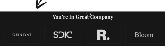 Republik Real Estate client logo trust section
